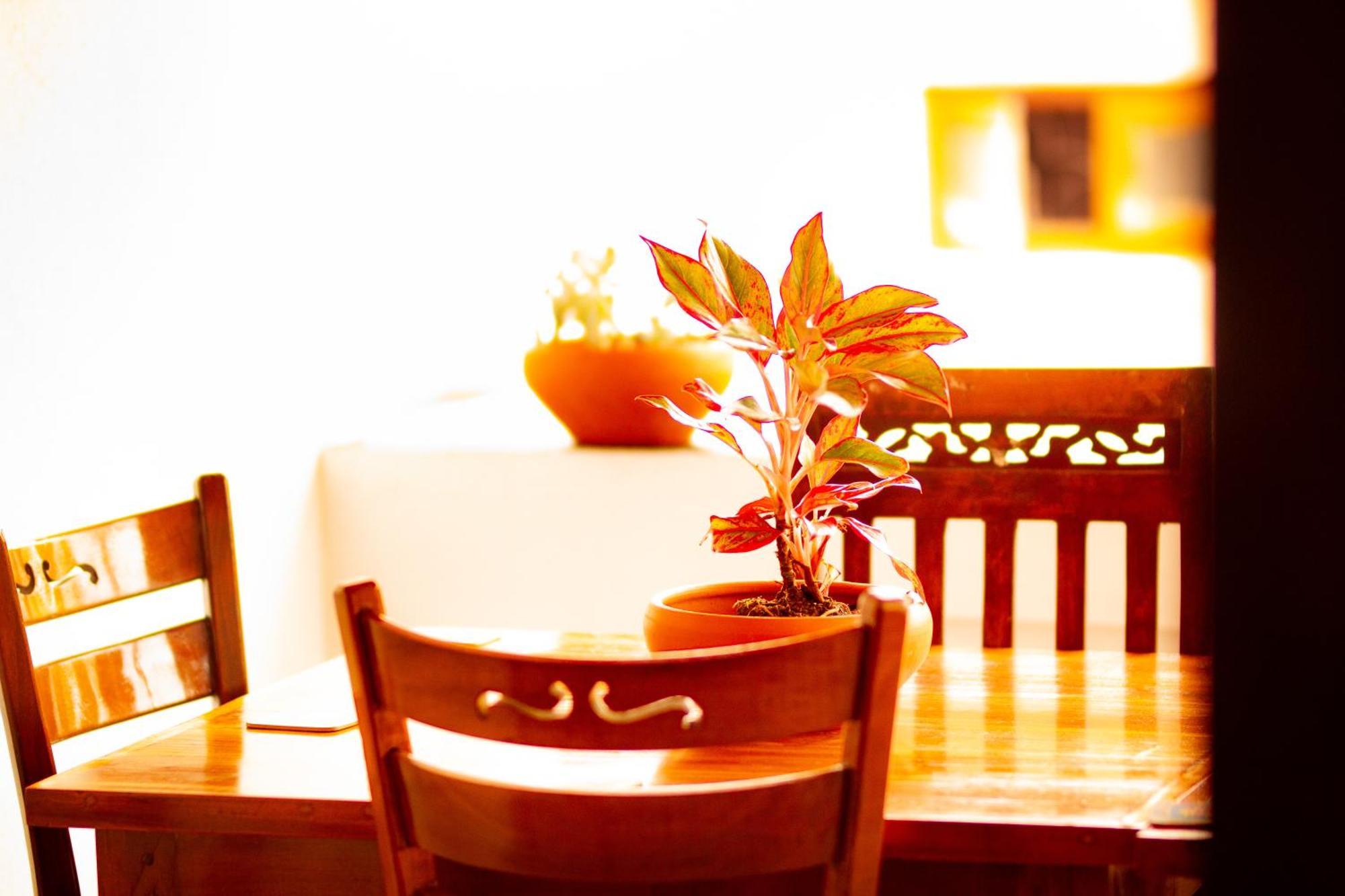Golden Town Hotel Tangalle Εξωτερικό φωτογραφία